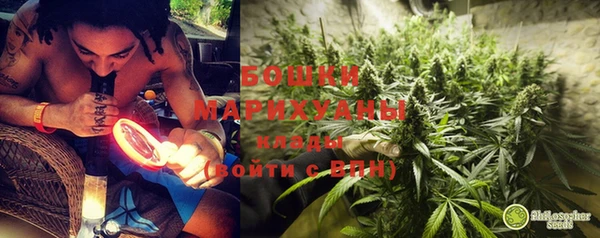 крисы Верея