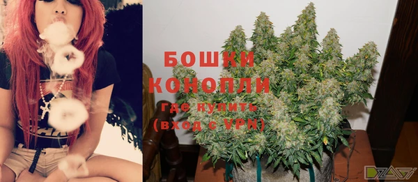 крисы Верея