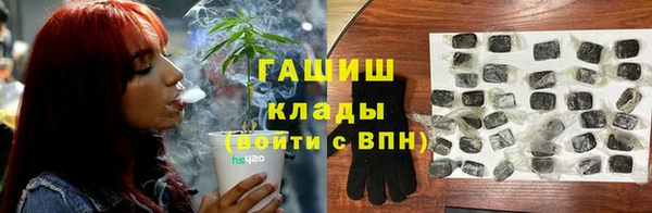крисы Верея