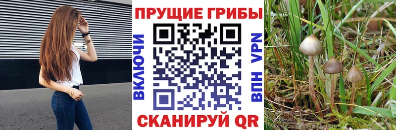 закладка Славянск-на-Кубани Галлюциногенные грибы ЛСД